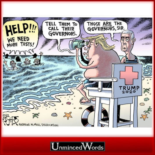 The blame game regarding the lack of covid tests is perfectly expressed in this political