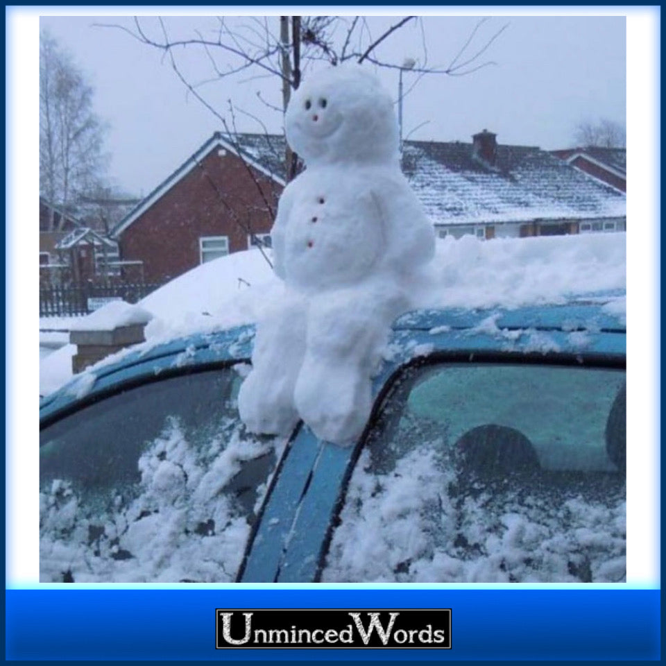 Sit pretty like this guy