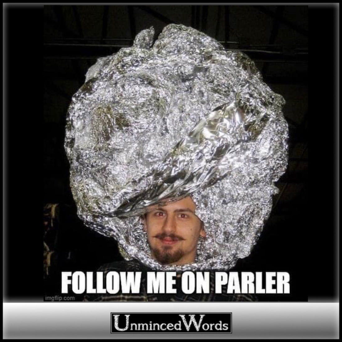 Follow me on Parler meme is all that
