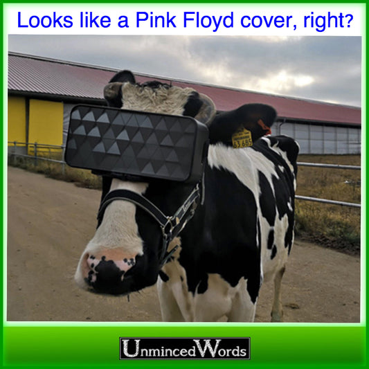 Totally looks like a Pink Floyd album cover to me