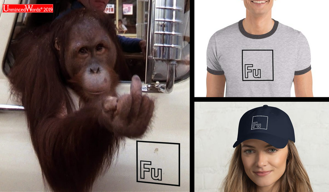 Picture This - Fu Element